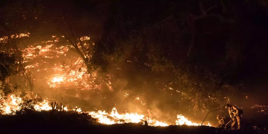 Ein Buschfeuer ist im Westen Australien ausser Kontrolle geraten. (Symbolbild)