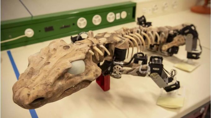 Dank Roboterbeinen spaziert dieses Modell eines hunderte Millionen Jahre alten Fossils durchs Labor. Bild: Maxime Marendaz, EPFL Dank Roboterbeinen spaziert dieses Modell eines hunderte Millionen Jahre alten Fossils durchs Labor. Bild: Maxime Marendaz, EPFL