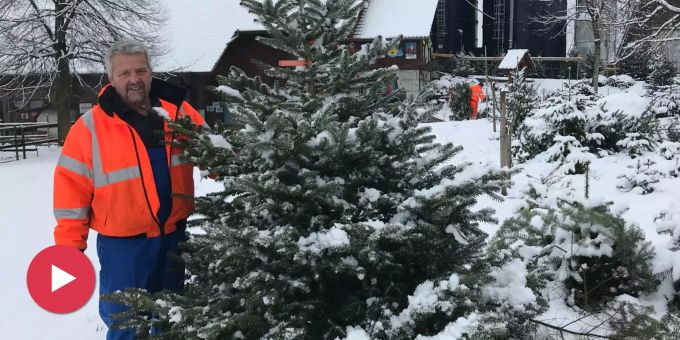 Weihnachten 2022 Ikea Ikea feiert schon Weihnachten und Coop schiebt Adventsguetzli auf