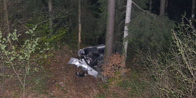 Der Baum bremste das anbrausende Auto arg. Der Baum bremste das anbrausende Auto arg.
