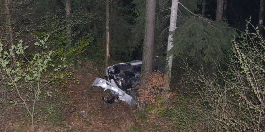 Der Baum bremste das anbrausende Auto arg.