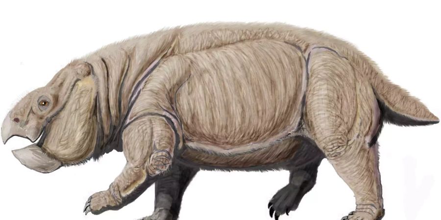 Die Dicynodontia, eine Gruppe von Pflanzenfressern, starben während der Klimakatastrophe vor 234 Millionen Jahren aus – und machten damit den Dinosauriern Platz.  Bild: Wikimedia Commons / Dmitry Bogdanov