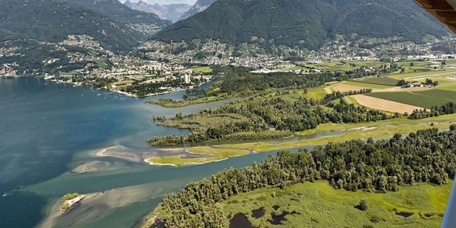 In Biotopen sollen auch künftig keine Kraftwerke gebaut werden dürfen. So will es der Nationalrat. Im Bild das Naturschutzgebiet Bolle di Magadino im Tessin. (Archivbild)