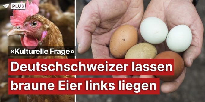 «Kulturelle Frage» - Deutschschweizer lassen braune Eier links liegen
