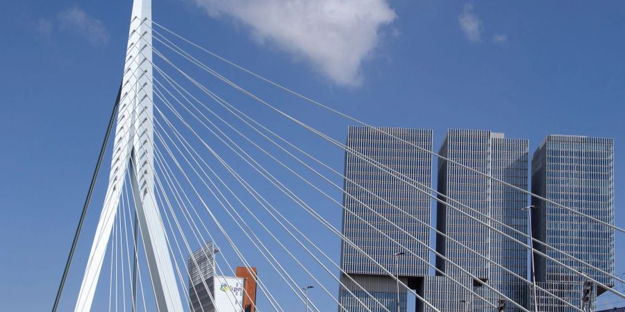 Die Erasmusbrücke ist eines der Wahrzeichen von Rotterdam.