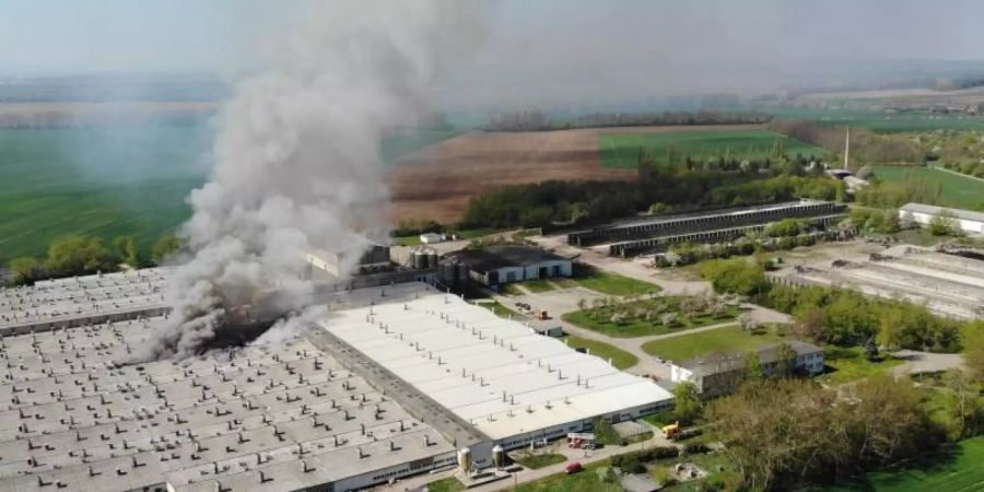 Rauch steigt aus zwei Ställen in der Schweinezuchtanlage Klein Wanzleben auf. Foto: Matthias Strauss