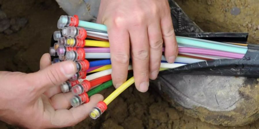 Glasfaser-Kabel mit farbigen Einzelsträngen: Die Konkurrenz fürchtet, dass die Telekom zu wenig in den Glasfaserausbau investiert. Foto: Peter Kneffel