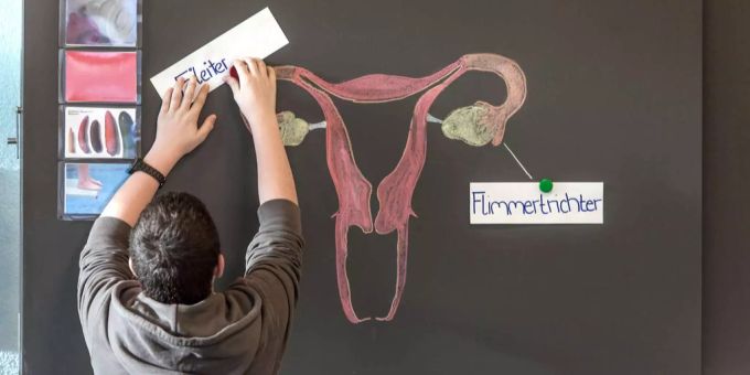 Juso Baselland startet Initiative für eine umfassende, schamfreie Sexualerziehung an Sekundarschulen. Basler Sexualkundeunterricht verletzt keine Grundrechte.