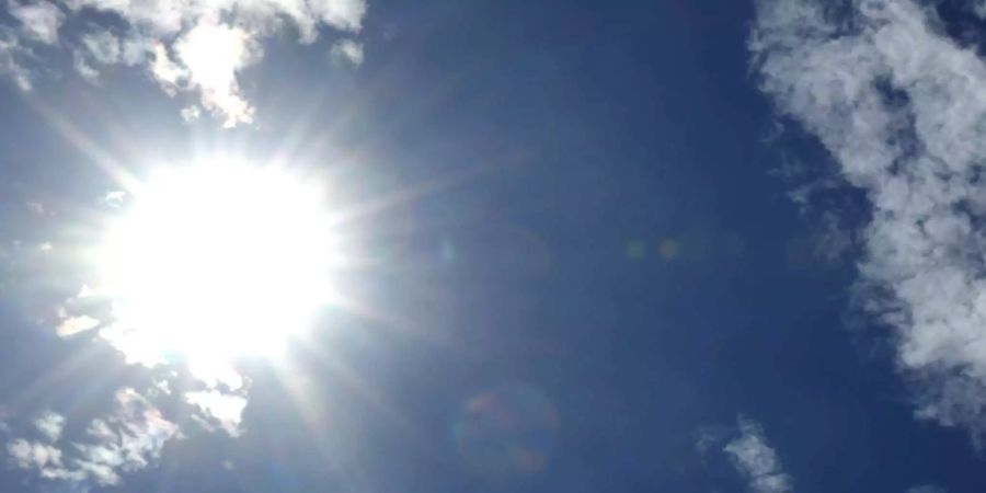 Die hohen Temperaturen scheinen den meisten zu gefallen. (Symbolbild)