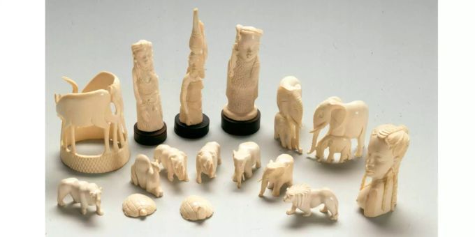 Global organisierte Verbrecher-Banden schmuggeln Elfenbein aus den Tropen. Die Folgen der Wildtier-Kriminalität sind für die betroffenen Ökosysteme verheerend.
