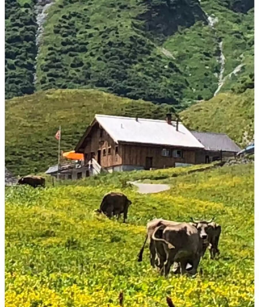 Hier in der Skiclub-Hütte Obererbs  wird Vreni Schneider mit ihrer Familie und Freunden den 1. August feiern.