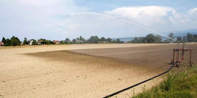 Ein Sprinkler bewässert ein trockenes Feld während einer anhaltenden Hitzewelle. Dürre