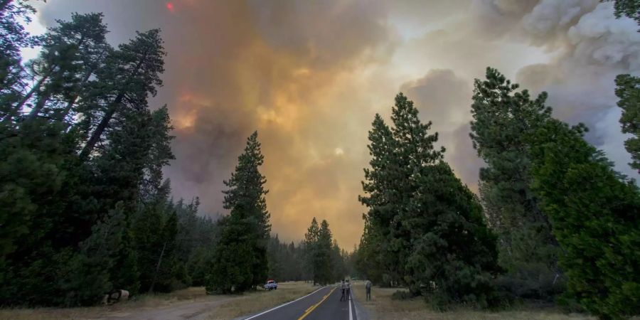 Dunkle Rauchwolken hängen während eines Waldbrandes am Highway 108 in der Nähe des Dardanelle Resort in Tuolumne County (USA) in der Luft.