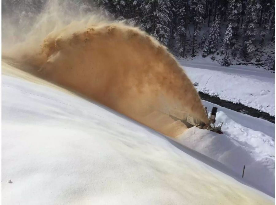 Für die Verteilung des Sägemehls ist eine alte Schneeschleuder im Einsatz.