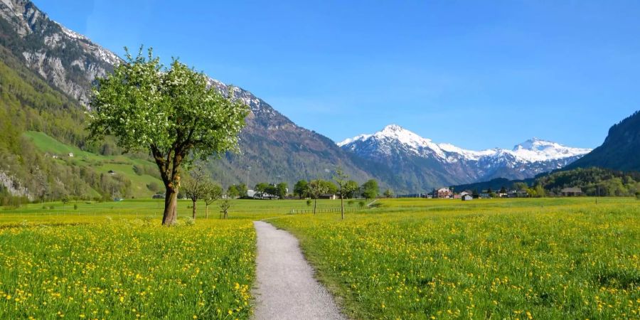 Für manch einen bedeuten Packen und Verreisen so viel Stress, dass es sich für wenige Tage einfach nicht lohnt. Dann bringt eine Wanderung in der nahen Umgebung wohl mehr Entspannung.