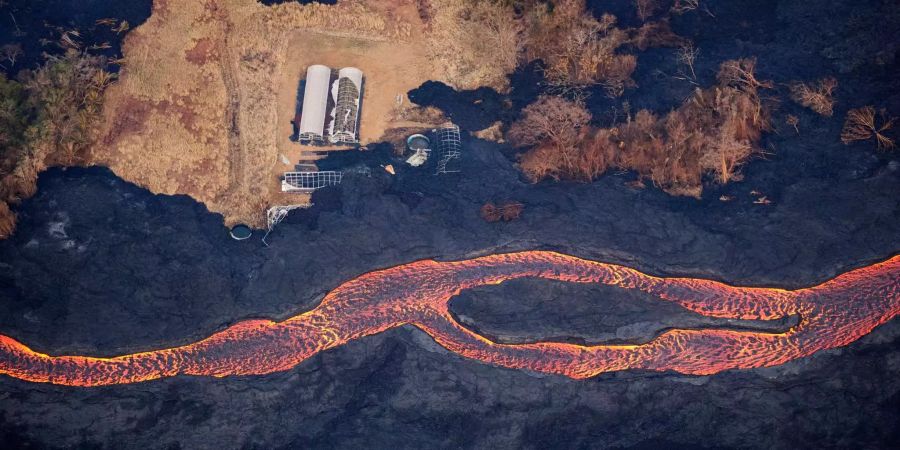 Lava fliesst neben den Resten eines Gewächshauses in Richtung Meer.