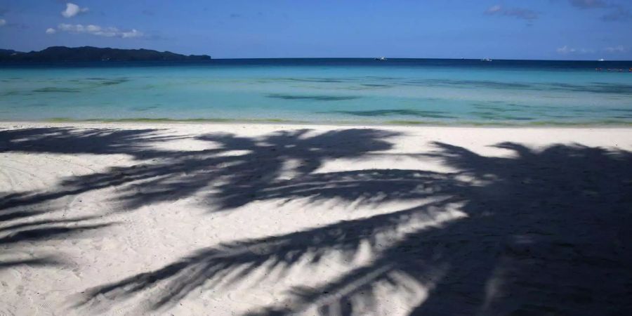 Palmen werfen Schatten auf den Strand in Boracay (PHL).