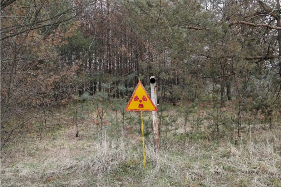 Ein Radioaktivitätszeichen steht vor dem Gebiet um Tschernobyl im April 2017 - Keystone