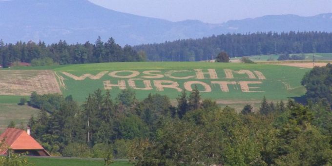 Sie sagt «Ja» - Bauer mäht auf Traktor Heiratsantrag in sein Rapsfeld