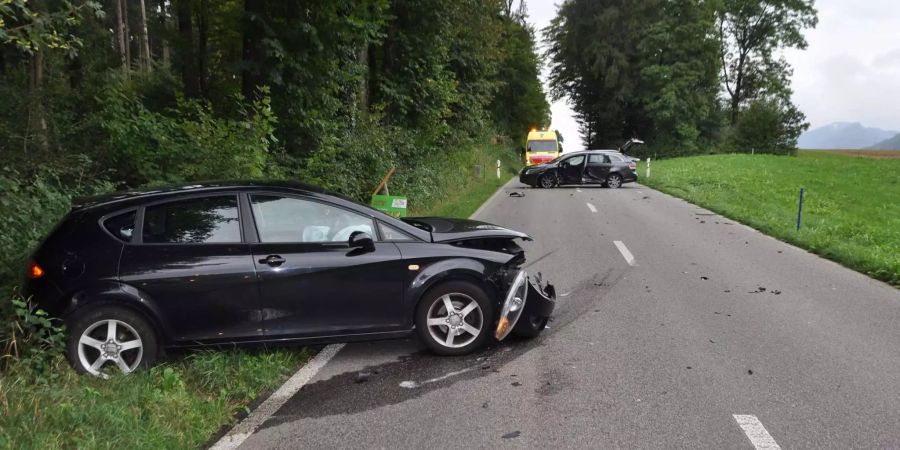 Der 20-Jährige musste mit leichten Verletzungen zur Kontrolle in ein Spital gebracht werden - Kapo Solothurn