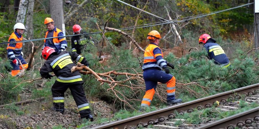 Schäden in Polen nach «Herwart».