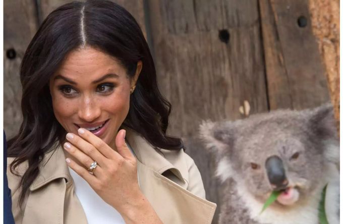 Meghan Markle im Oktober in einem Zoo im australischen Sydney. Meghan Markle