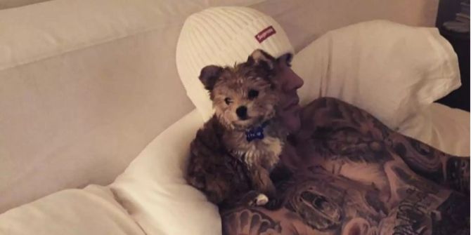 Justin Bieber und sein Hund Oscar kuscheln im Bett.