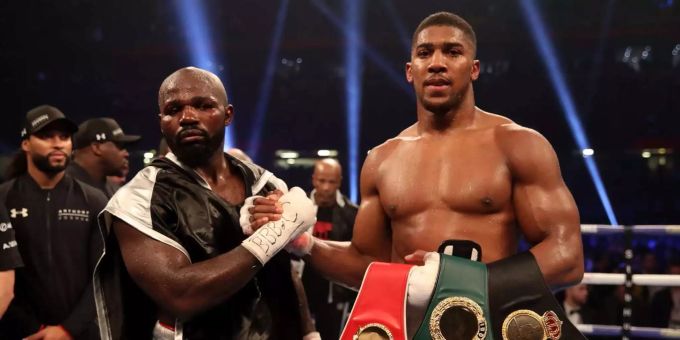 Titel verteidigt - Klitschko-Besieger Joshua bleibt Schwergewichts-Weltmeister