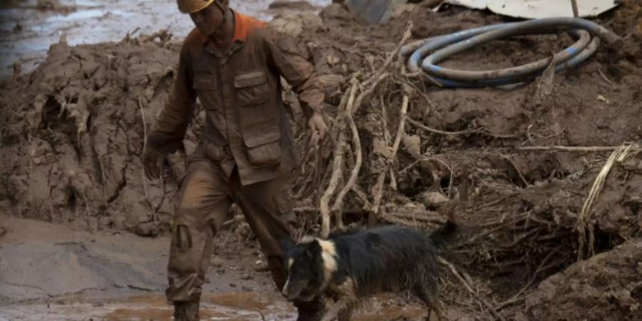 Feuerwehrmann mit Suchhund am Unglücksort