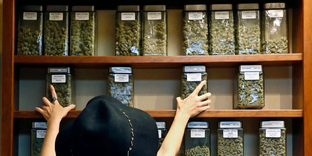 Der große leak das kostet cannabis aus der apotheke wirklich
