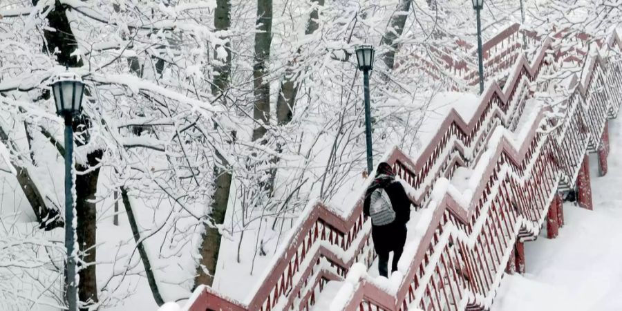 Mehr als 1,2 Millionen Kubikmeter Schnee mussten von den Strassen entfernt werden.