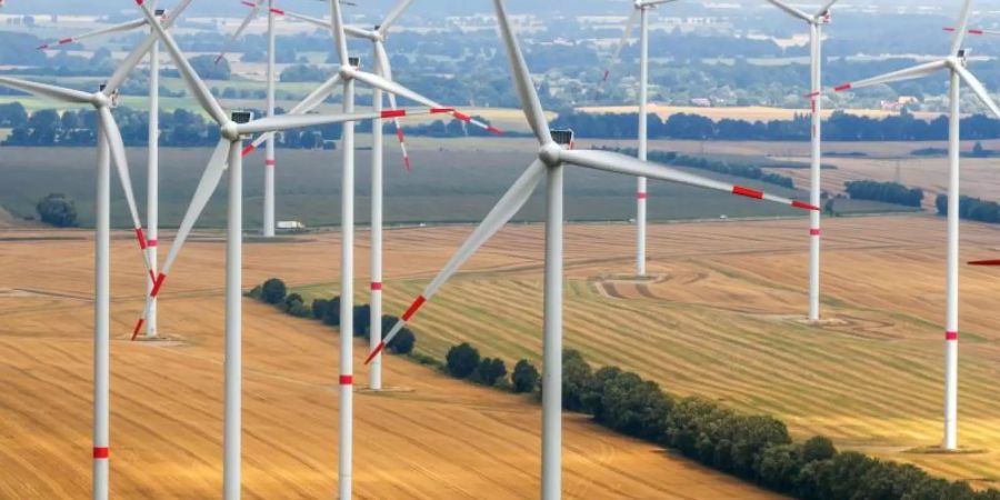 Windräder drehen sich in einem Windpark östlich von Parchim. Foto: Jens Büttner