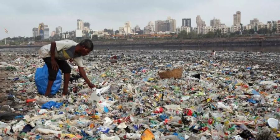 Ein Mann sammelt Plastik und andere wiederverwertbare Materialen an der von Plastiktüten und sonstigen Müll übersäten Küste vor Mumbai. Foto: Rafiq Maqbool/AP