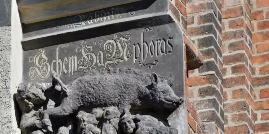 Das umstrittene Relief an der Wittenberger Stadtkirche