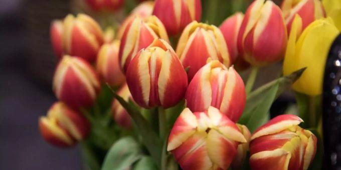 Kümmert sich neu um den Blumenschmuck: die Burgergemeinde Zuzwil. blumenmarkt