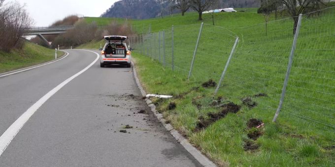 Ein unbekanntes Fahrzeug ist in Küssnacht SZ mit einem Wildzaun kollidiert. Polizei