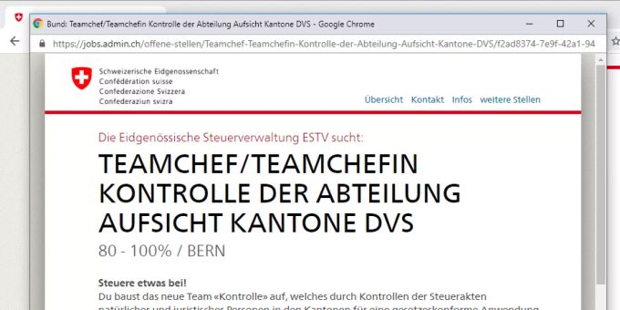 Stelleninserat der Eidgenössischen Steuerverwaltung ESTV für einen Teamchef. Die Öffentlichkeit wird jetzt konsequent geduzt. Steuerverwaltung Du