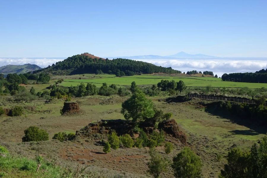 gründe Landschaft