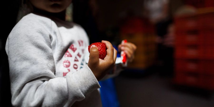Ende August sollen Einzelheiten der geplanten Kindergrundsicherung vorliegen.
