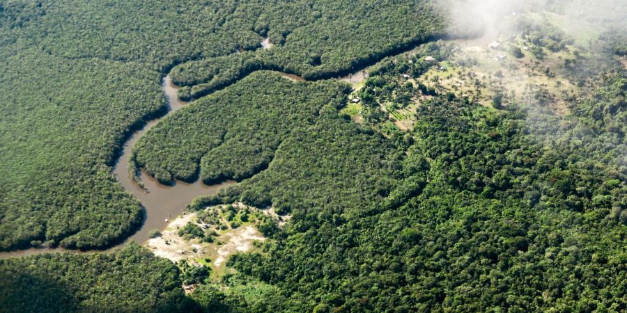 Das Amazonasgebiet um Manaus in Brasilien. Vor allem Aktivisten, die sich gegen die Agrarindustrie, Bergbau und Holzfällerei einsetzen, leben gefährlich.