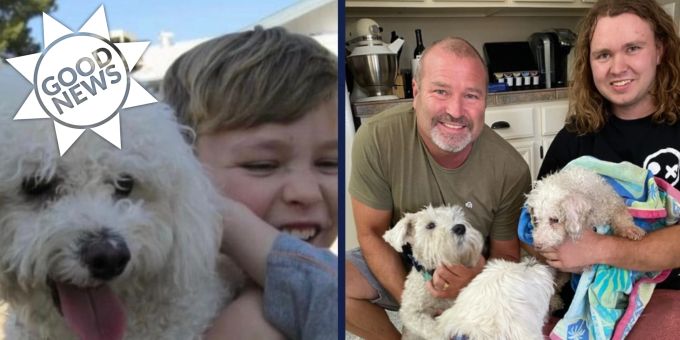 Good News - Hund (15) nach zwölf Jahren mit Besitzern wiedervereint