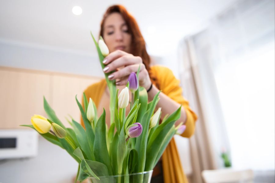 Tulpenstrauss gelb lila Innenraum Frau