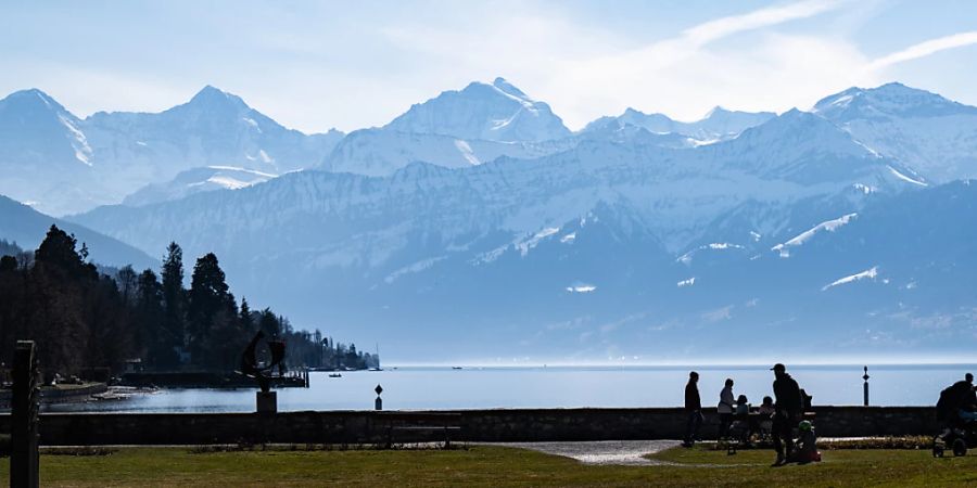 Viel Sonne und kaum Niederschläge. Der Monat März erfreut die Spaziergängerinnen und Spaziergänger im Schadaupark in Thun.