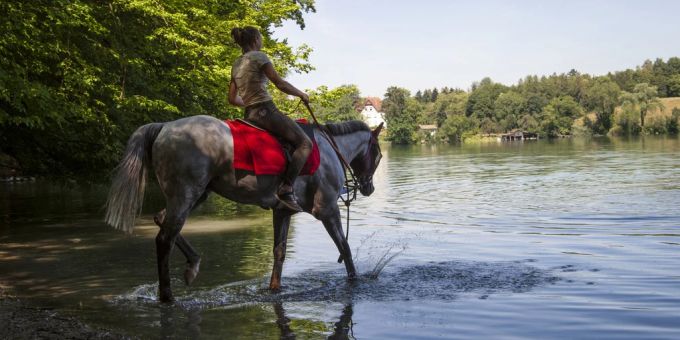 Cheyenne und ihr Pferd kühlen sich im Wasser am Katzensee ab, am Freitag, 27. Juli 2018, in Zürich. katzensee