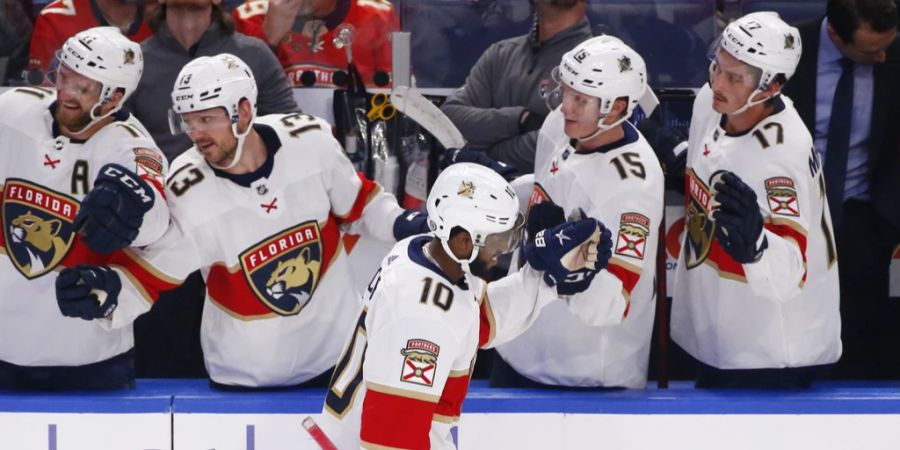 florida panthers