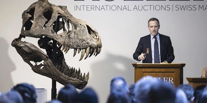Das T Rex-Skelett «Trinity» wurde am Dienstag in Zürich für 4,8 Millionen Franken versteigert. t rex