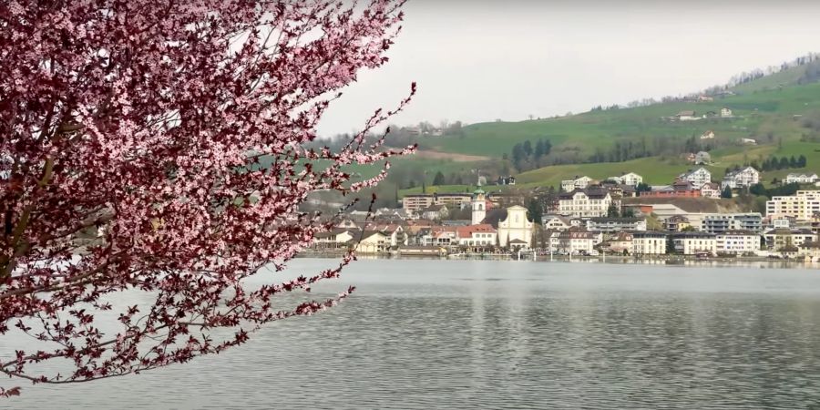 küssnacht