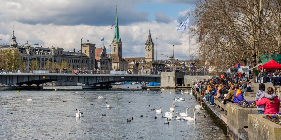 Das untere Becken des Zürichsees. - Stadt Zürich