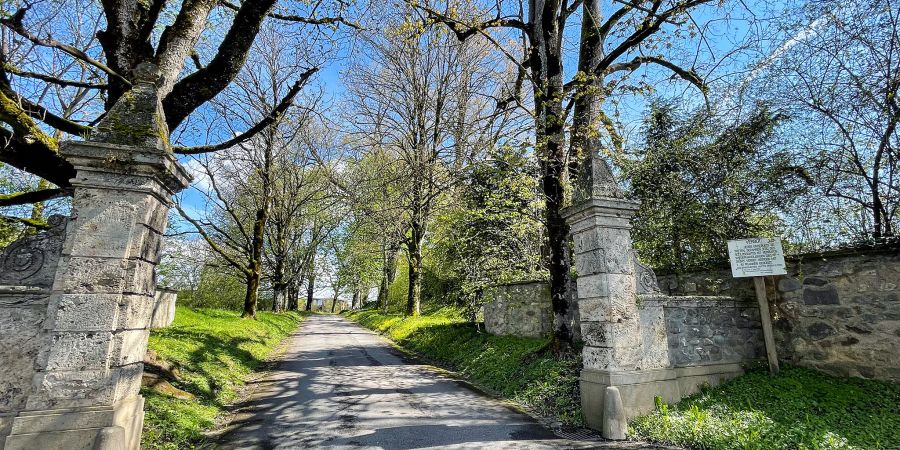 Die Haupteinfahrt zum Schloss führt durch die dazugehörige Grünfläche.