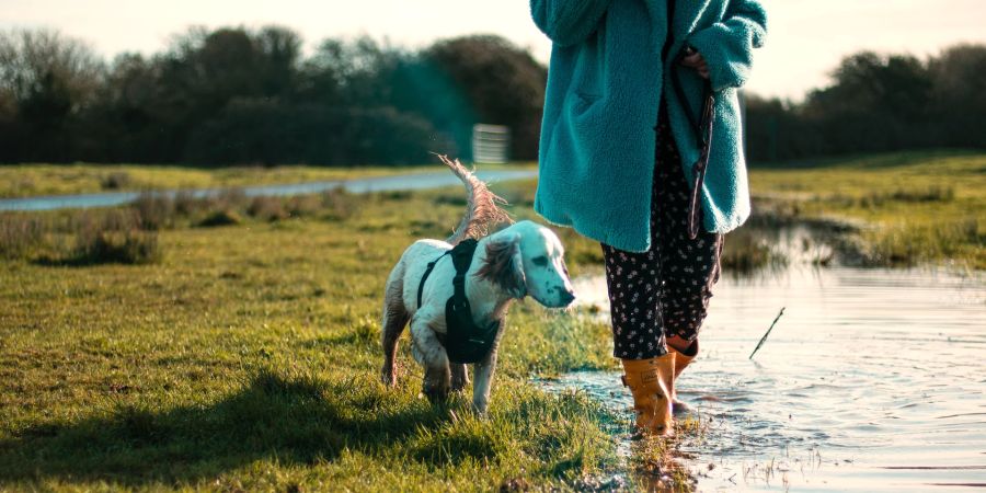 Spaziergang Hund Bewegungsminuten